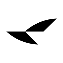 RayNeo logo