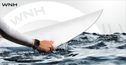 WNH - Amazon Seller - US logo